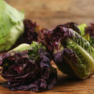 Red Romaine Lettuce Seeds For Planting (Lactuca sativa)