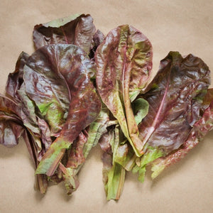 Ruby Red Lettuce Seeds For Planting (Lactuca sativa)