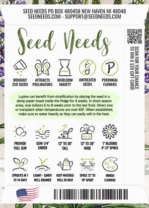 Wild Perennial Lupine Seeds For Planting (Lupinus perennis)