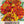 Bolero Marigold Seeds For Planting (Tagetes erecta)