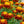 Tiger Eye French Marigold Seeds For Planting (Tagetes patula)
