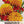 Tiger Eye French Marigold Seeds For Planting (Tagetes patula)