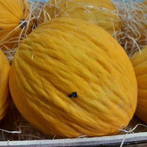 Canary Melon Seeds For Planting (Cucumis melo)