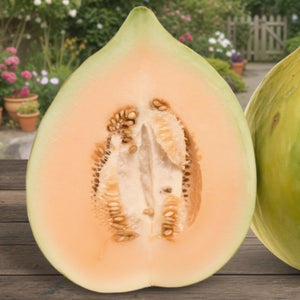 Crenshaw Melon Seeds For Planting (Cucumis melo)