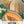Hales Best Jumbo Melon Seeds For Planting (Cucumis melo)