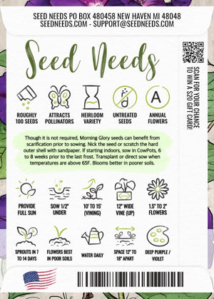 Black Kniolas Morning Glory Seeds For Planting (Ipomoea purpurea)