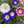Morning Glory, Ensign Mixture (Convolvulus tricolor)