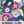 Morning Glory, Ensign Mixture (Convolvulus tricolor)