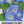 Heavenly Blue Morning Glory (Ipomoea tricolor)