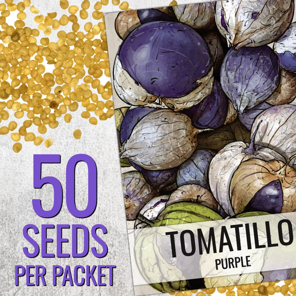 Purple Tomatillo Seeds For Planting (Physalis ixocarpa)