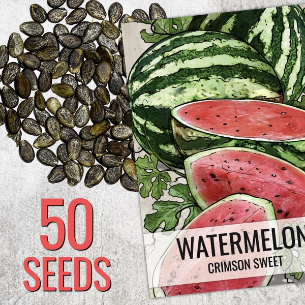 Crimson Sweet Watermelon Seeds For Planting (Citrullus lanatus)