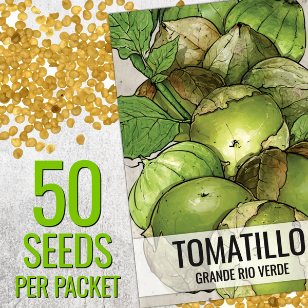 Grande Rio Verde Tomatillo Seeds For Planting (Physalis ixocarpa)