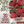 Beefsteak Tomato Seeds For Planting (Lycopersicon esculentum)