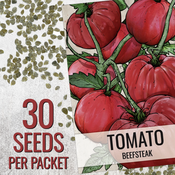 Beefsteak Tomato Seeds For Planting (Lycopersicon esculentum)