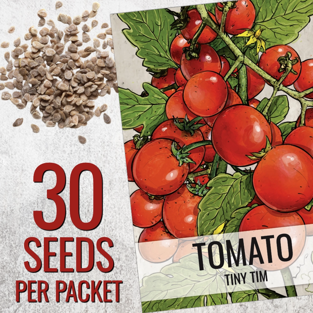 Tiny Tim Tomato Seeds For Planting (Lycopersicon esculentum)