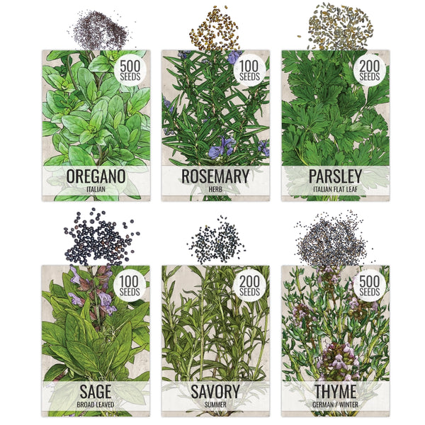 Culinary Herb Seed Collection