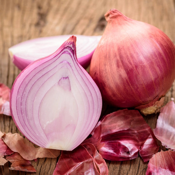 Red Burgundy Onion Seeds For Planting (Allium cepa)