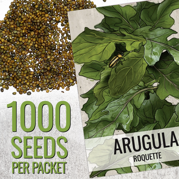 Arugula Herb Seeds For Planting (Eruca sativa)