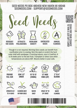 Pearly Gates Morning Glory Seeds For Planting (Ipomoea tricolor)