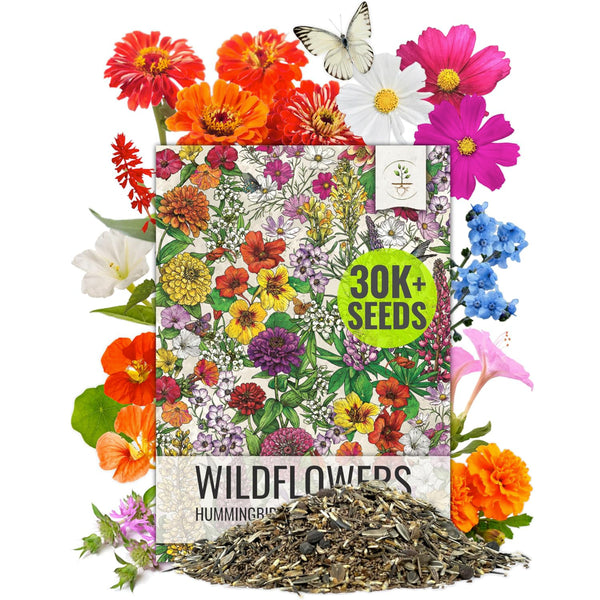 wildflower seed companies Bird and Butterfly Wildflower Mixture – Seed Needs LLC