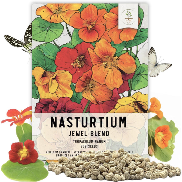 flower nasturtium seeds Jewel Mixture Nasturtium Seeds (Tropaeolum nanum)