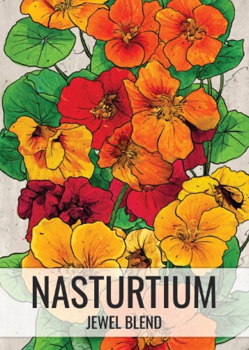 Jewel Mixture Nasturtium Seeds For Planting (Tropaeolum nanum)