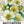 Moonlight Nasturtium Seeds For Planting (Tropaeolum majus)