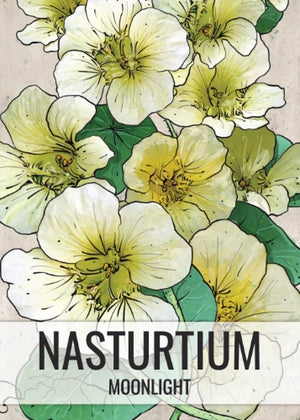 Moonlight Nasturtium Seeds For Planting (Tropaeolum majus)