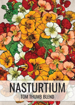 Tom Thumb Nasturtium Seeds For Planting (Tropaeolum nanum)