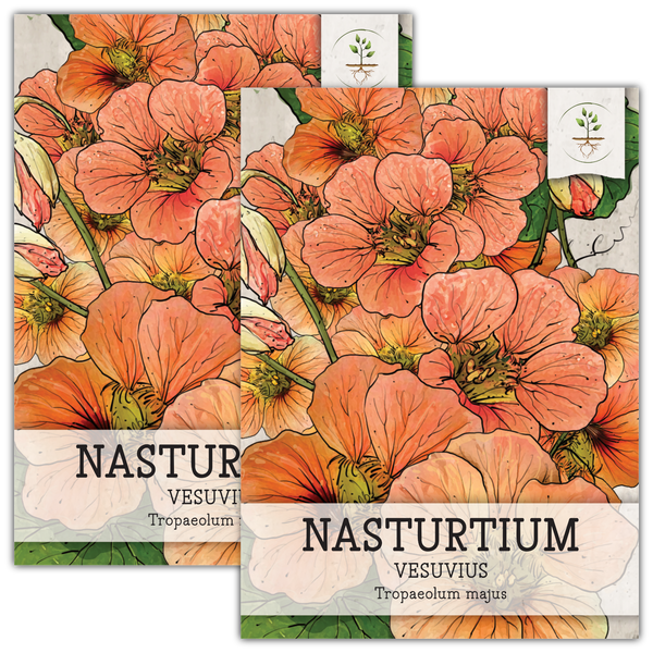 flower seeds nasturtium Vesuvius Nasturtium Seeds For Planting (Tropaeolum majus) – Seed Needs LLC
