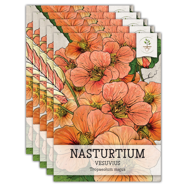 Vesuvius Nasturtium Seeds For Planting (Tropaeolum majus)