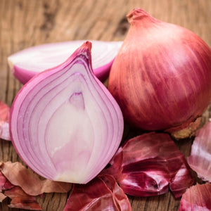 Red Burgundy Onion Seeds For Planting (Allium cepa)