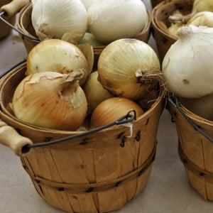 White Sweet Spanish Onion Seeds For Planting (Allium cepa)