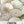 White Sweet Spanish Onion Seeds For Planting (Allium cepa)