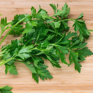 Italian Flat Leaf Parsley Seeds For Planting (Petroselinum crispum)