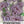 Pennyroyal Mint Seeds For Planting (Mentha pulegium)