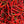 Thin Cayenne Hot Pepper Seeds For Planting (Capsicum annuum)