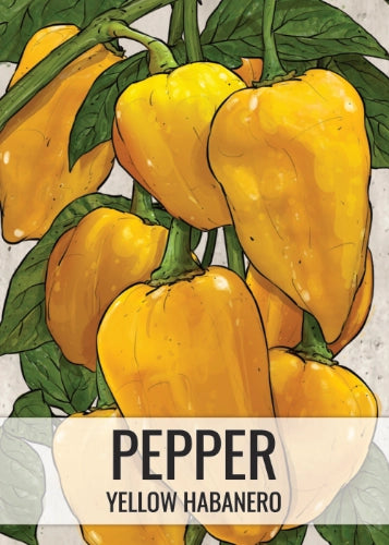 Lemon Habanero Pepper Seeds For Planting (Capsicum chinense)