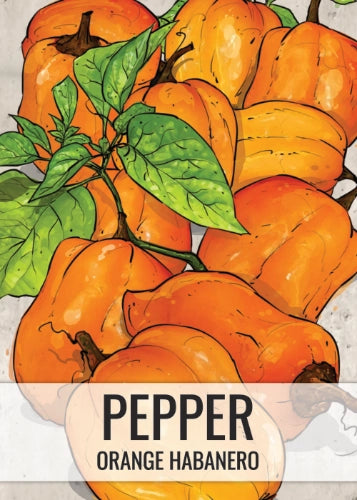 Orange Habanero Pepper Seeds For Planting (Capsicum chinense)