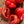 Red Habanero Pepper Seeds For Planting (Capsicum chinense)