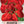 Red Habanero Pepper Seeds For Planting (Capsicum chinense)