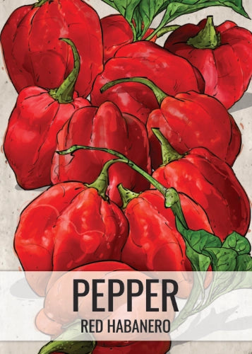 Red Habanero Pepper Seeds For Planting (Capsicum chinense)