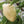 White Habanero Pepper Seeds For Planting (Capsicum chinense)