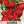 Red Jamaican Hot Pepper Seeds For Planting (Capsicum chinense)