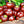 Miniature Chocolate Bell Pepper Seeds For Planting (Capsicum annuum)