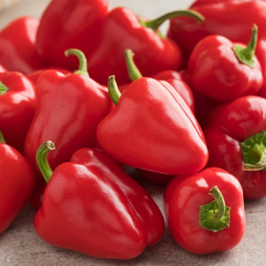 Miniature Red Bell Pepper Seeds For Planting (Capsicum annuum)