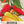 Santa Fe Grande Hot Pepper Seeds For Planting (Capsicum annuum)