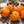 Orange Scotch Bonnet Pepper Seeds For Planting (Capsicum chinense)