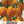 Orange Scotch Bonnet Pepper Seeds For Planting (Capsicum chinense)