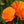 Orange California Poppy Seeds For Planting (Eschscholzia californica)